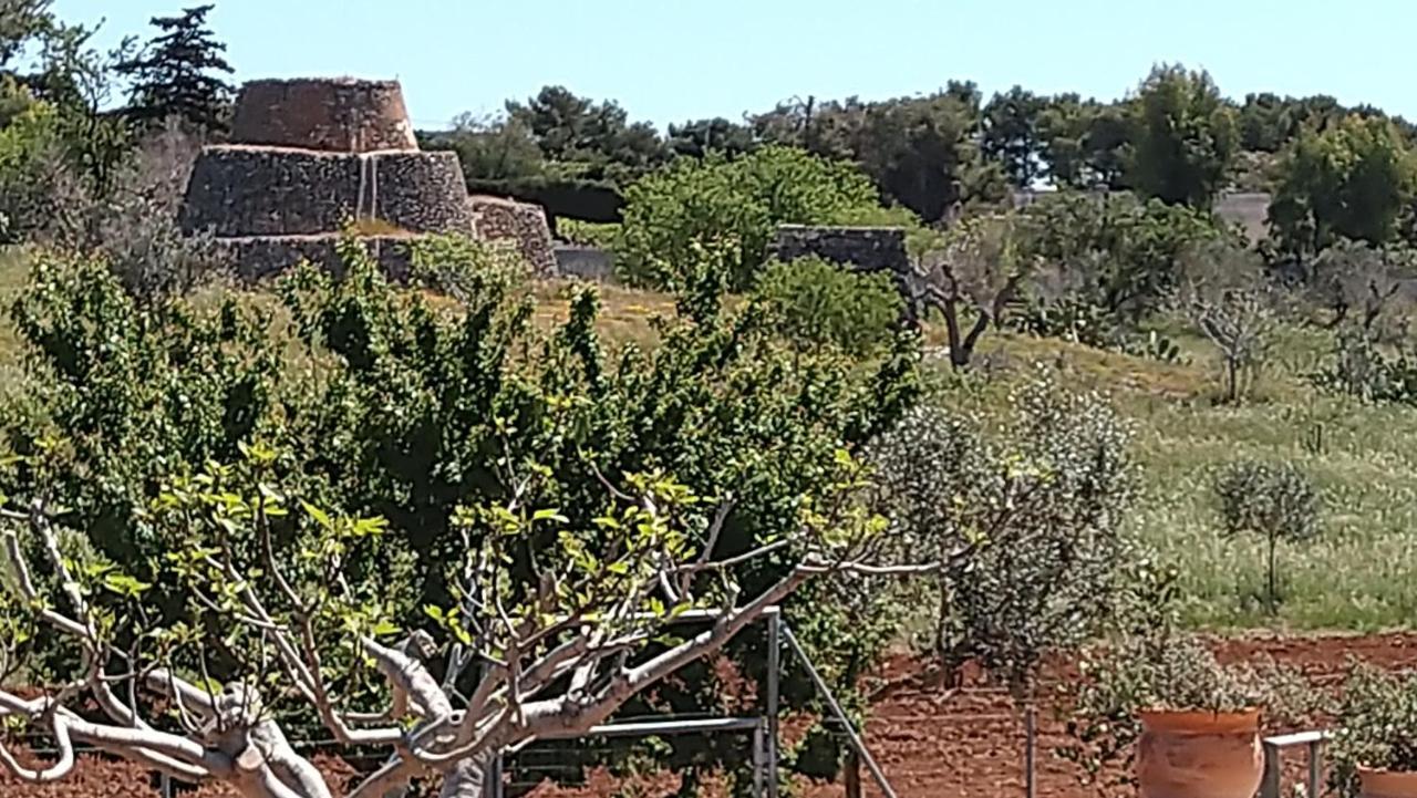 Villa Aurora Santa Maria al Bagno Esterno foto